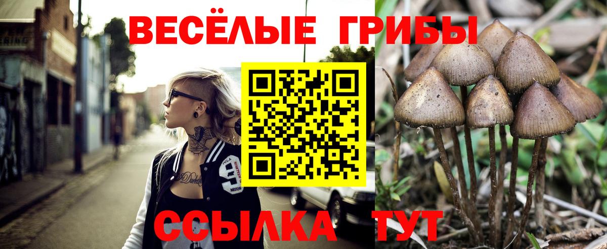 Псилоцибиновые грибы прущие грибы Каменка